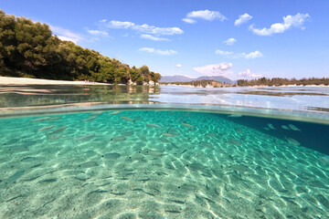 Fototapeta na wymiar Underwater split photo of famous bay and sandy turquoise beach of Fanari with crystal clear calm sea and rich aquatic life in Ionian island of Meganisi, Greece