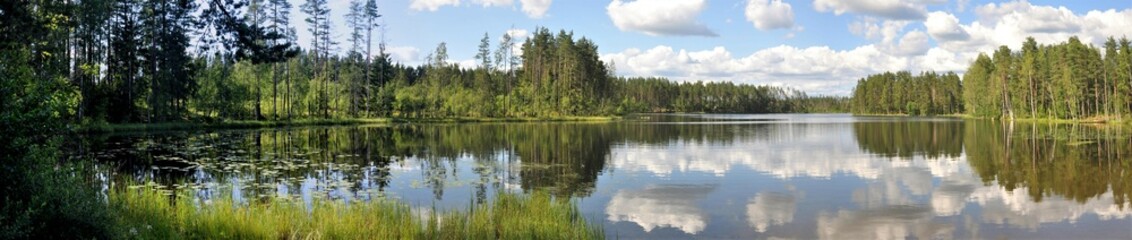 Naklejka premium озеро Прохладное. Ленинградская область.