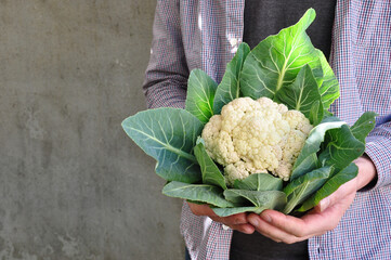 Cauliflower. Farmer. A man is holding a cauliflower. A man with a cabbage in his hands. Organic...