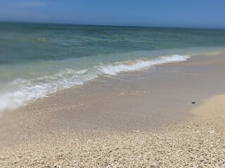 footprints on the beach