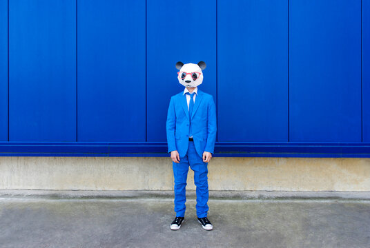 Man wearing vibrant blue suit and panda mask standing in front of blue wall
