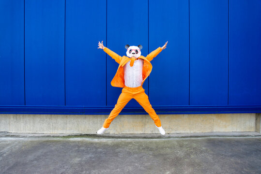 Man wearing vibrant orange suit and panda mask jumping against blue wall
