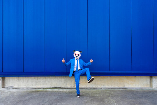 Man wearing vibrant blue suit and panda mask standing on one leg against blue wall