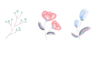 Fototapeta na wymiar Watercolour single flowers in pastel colour