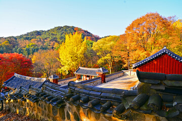 남한산성의 가을풍경