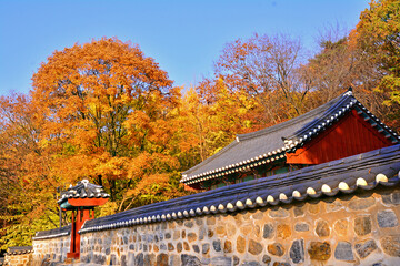 남한산성의 화려한 가을풍경