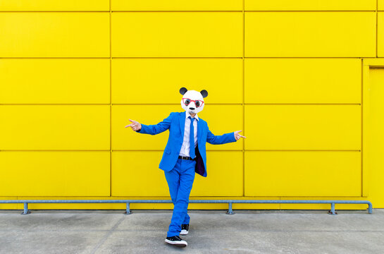 Man wearing vibrant blue suit and panda mask walking toward camera with carefree attitude