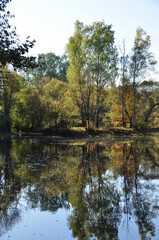 Panoramic view of the forest lake. Trees with yellowed leaves are reflected on the surface of the water.