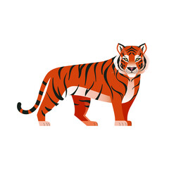 Fototapeta na wymiar Tiger standing and looking straight. Orange striped tiger. Chinese symbol of the New Year 2022. Vector illustration of wild animal isolated on white 