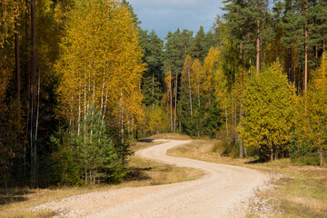 
Beautiful winding dirt road with green-yellow trees and blue cloudy sky