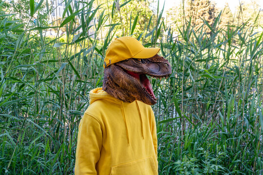 Boy wearing dinosaur mask and cap while standing in grass