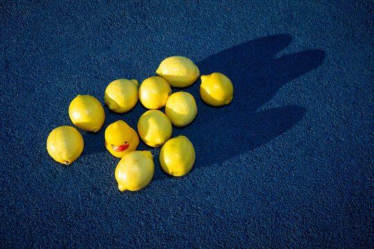 Artificial yellow toy duck with fresh lemons on blue surface at skateboard park