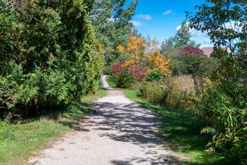 Fototapeta na wymiar The path among the autumn bushes