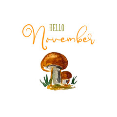 Hello November vector sketch mushroom watercolor hand drawing, template, design for banner, greeting card or print. Vector illustration