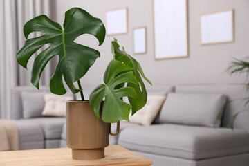 Ceramic vase with tropical leaves on wooden table in living room. Space for text