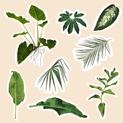 Set of stickers and icons of tropical palm leaves and plants illustration.