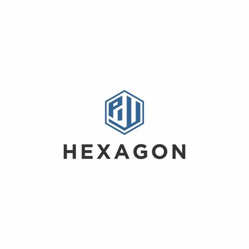 Pu Hexagon Logo Design