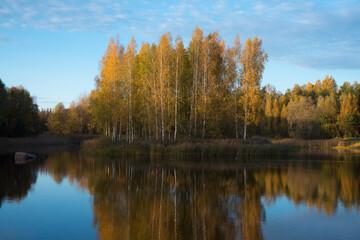 A beautiful lake with blue skies and the reflection water of a birch grove