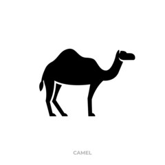 Illustration vector graphic template of camel silhouette logo
