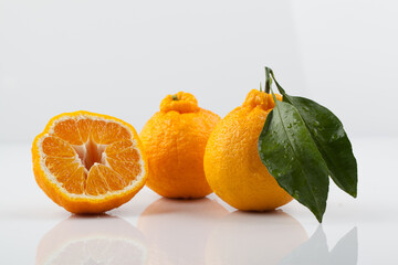 한라봉,고해상,과일,단면,비타민,사람없음,상큼함,스튜디오,신선,실내,오브젝트,주황색