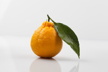 한라봉,고해상,과일,단면,비타민,사람없음,상큼함,스튜디오,신선,실내,오브젝트,주황색