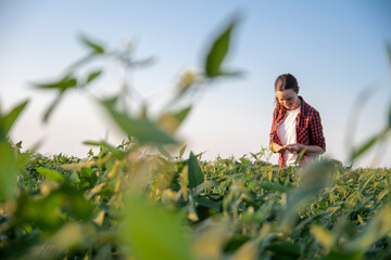 A female farmer in soybean field