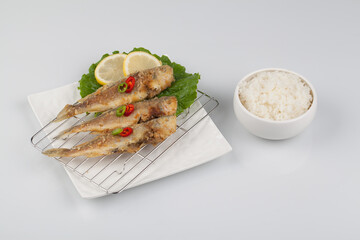 굴비,굴비구이,조기,날것,누끼,어류,사기그릇,사람없음,생선,소금,신선,음식,재료,조기