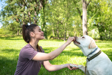 Young beautiful woman sits in the park with her pet dog a golden or yellow Labrador Retriever and...