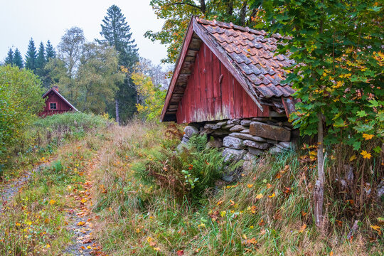 Dirt road with an old red shed in autumn colors