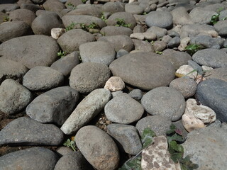 rock and stone background on the  garden