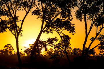 The sun on the horizon is setting behind trees that show their contrasts against the sunlight and a...