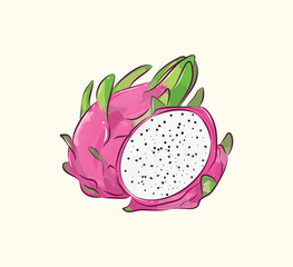 Red pink dragon fruit with sliced pitaya in flat art realistic illustration design