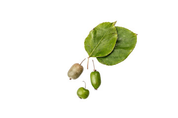 Ripe Actinidia arguta or kiwi isolated on white background