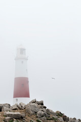 Fototapeta na wymiar Lighthouse on a foggy day