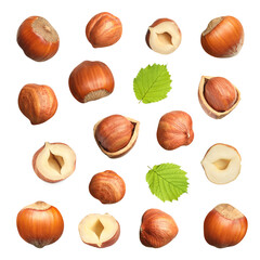 Set with tasty hazelnuts on white background
