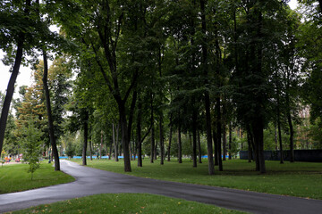 Fototapeta na wymiar Beautiful view of park with green grass and tall trees on autumn day