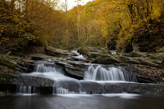 Bieszczady jesień potok Nasiczański.