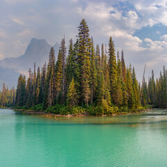 Giant Trees in front of the Emerald Lake, Yoho National Park, British Columbia, Canada