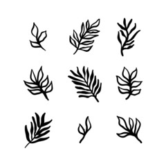 Fototapeta na wymiar Little branches and floral doodles, hand drawn sketch drawings of plants, branches and leaves. Vector illustration.