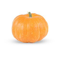 One pumpkin isolated on a white background