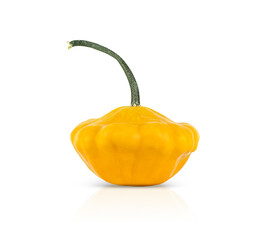 One yellow patisson is isolated on a white background