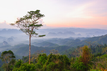 Doi Ta Pang (khao thalu) Chumphon