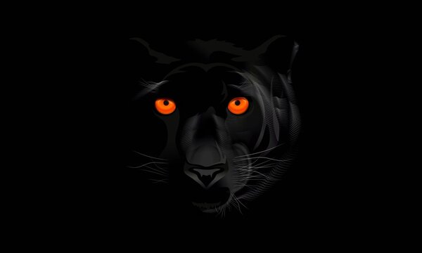 Black Panter Jaguar face