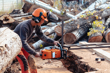 Lumberjack cutting tree trunk with giant chainsaw to make wooden planks