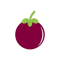 Mangosteen fruit icon logo vector
