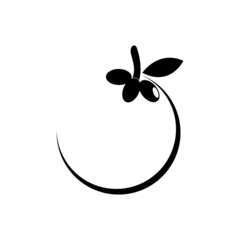 Mangosteen fruit icon logo vector