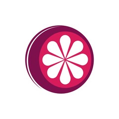 Mangosteen fruit icon logo vector