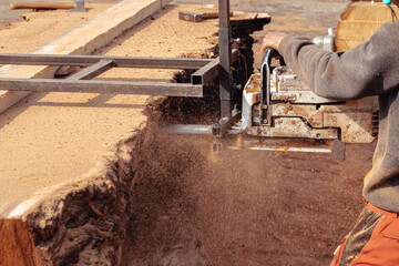 Closeup of lumberjack cutting tree trunk with giant chainsaw to make wooden planks