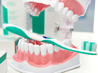 Fototapeta na wymiar Teeth and toothbrush