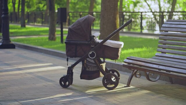 Baby stroller in park, family planning, childbirth preparation, fertility age